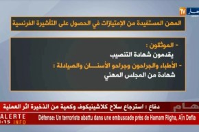 تأشيرة: القنصلية الفرنسية بالعاصمة تقدم إمتيازات لأصحاب المهن ذات الخصوصية