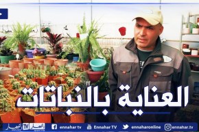 كيفية العناية بالنباتات والأخطاء الشائعة..