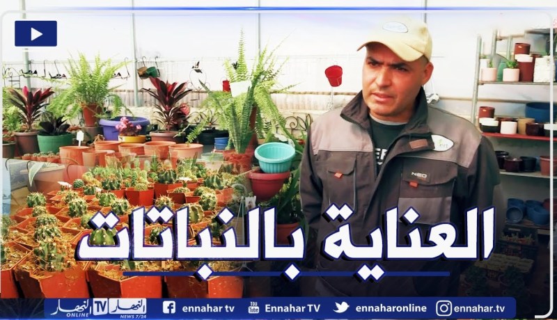 كيفية العناية بالنباتات والأخطاء الشائعة..