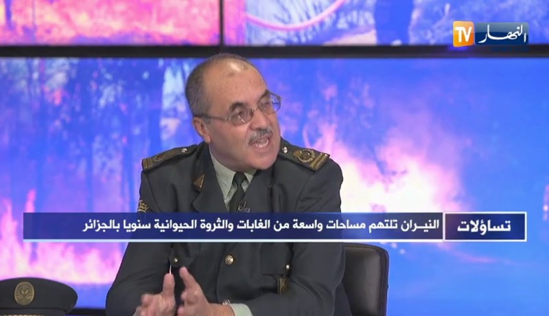 جمال بلعايب: هؤلاء هم المتضررون من الحرائق و بتظافر جميع الجهود سنعيد إحياء الغطاء النباتي