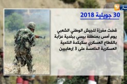 انفوغرافيا: هذه حصيلة الإرهاب المقضى عليهم بسكيكدة