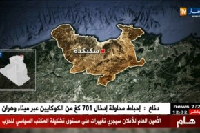 مفرزة للجيش تدمر مخبأين للجماعات الإرهابية بسكيكدة