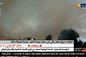 الطارف: حريق مهول يأتي على مخزن بودرة الحليب ببلدية شبيطة مختار