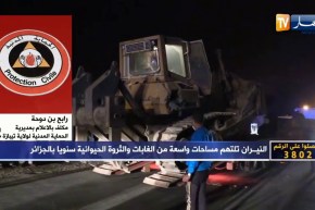 المكلف بالإعلام للحماية المدنية بتيبازة: وفاة شخصين وتمّ إجلاء عائلات وخسائر كبيرة للغابات بقوراية