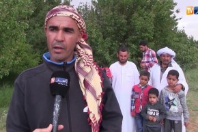 الجلفة: منطقة لملاقة.. إمكانيات فلاحية في إنتاج المشمش والرمان بحاجة لدعم