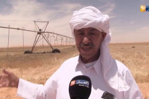 غرداية: فلاحون يرفعون التحدي ويعملون وقت الصيام تحت درجة حرارة عالية