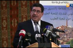 وزير الفلاحة: “الثروة الحيوانية بلغت 27 مليون رأس”