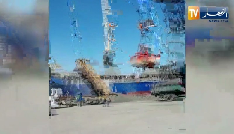 مجمع سواكري يغزو الأسواق الدولية ويصدر حوالي 10 ألاف طن إلى فرنسا