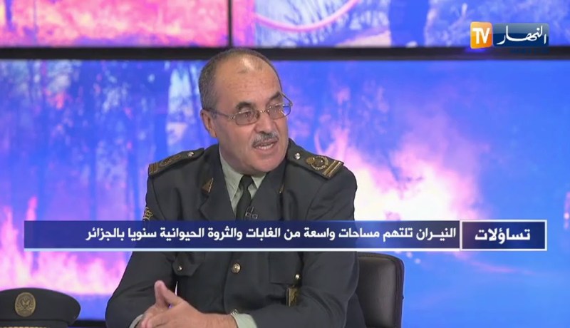 جمال بلعايب: اللامبالاة وتهاون الفلاحين وسكان الأرياف سبب إندلاع الحرائق