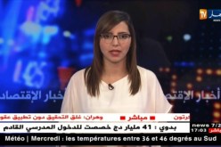 مدير الدراسات بمديرية الصيد البحري: تزايد عدد الصيادين على إثر تطبيق نظام الحماية الإجتماعية الجديد
