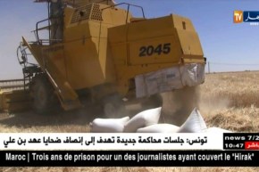 النعامة: بداية موسم الحصاد و إستياء الفلاحين من تراجع الإنتاج