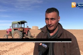 تيارت: الفلاحون الصغار.. بين مطرقة فرض الإتاوات وسندان نقص الدعم الفلاحي