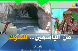 طالع هابط: بلادنا شابة بصح خسروها.. شاهد حتى النهاية