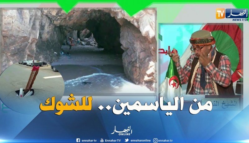 طالع هابط: بلادنا شابة بصح خسروها.. شاهد حتى النهاية