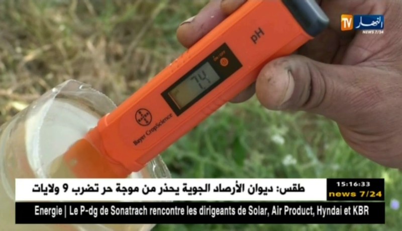 فلاحة: تواصل زحف مرض ميلديوالعنب..فلاحون يشككون في فعالية المبيدات