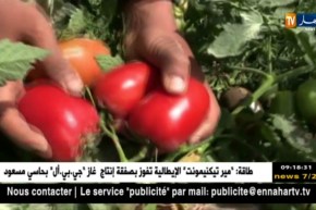 غليزان: المصالح الفلاحية تطمئن ..المنتجات الفلاحية صالحة للإستهلاك