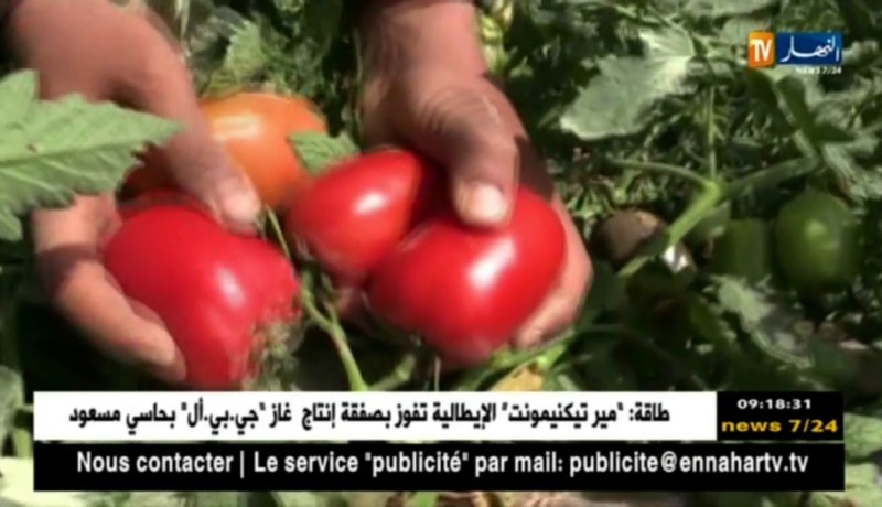 غليزان: المصالح الفلاحية تطمئن ..المنتجات الفلاحية صالحة للإستهلاك