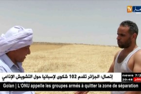 المدية: فلاحون مستاؤون من تأخر موسم الحصاد