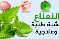 النعناع.. لاستخدامات طبية وعلاجية