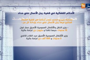 هذه هي الأحكام القضائية في قضية رجل الأعمال علي حداد