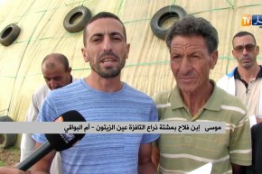 أم البواقي/ إنعدام الكهرباء يعرقل نشاط الفلاحين بمشتة ذراع التافزة