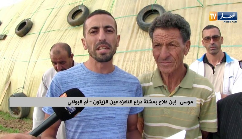 أم البواقي/ إنعدام الكهرباء يعرقل نشاط الفلاحين بمشتة ذراع التافزة