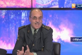 تساؤلات: النيران تلتهم مساحات واسعة من الغابات والثروة الحيوانية سنويا بالجزائر