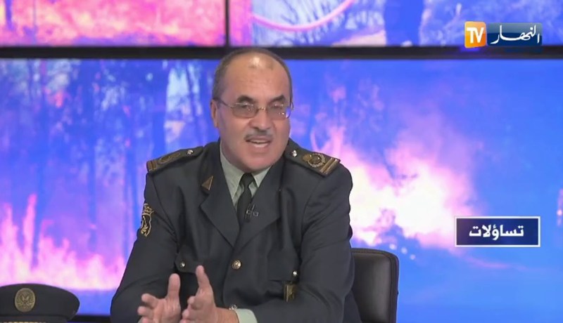 تساؤلات: النيران تلتهم مساحات واسعة من الغابات والثروة الحيوانية سنويا بالجزائر