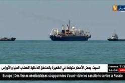 وصول الباخرة المكلفة بوضع كابل الإنترنت البحري بين العاصمة ووهران