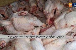 أم البواقي:  حجز أزيد من 8 قناطير من اللحوم البيضاء الفاسدة بعين كرشة