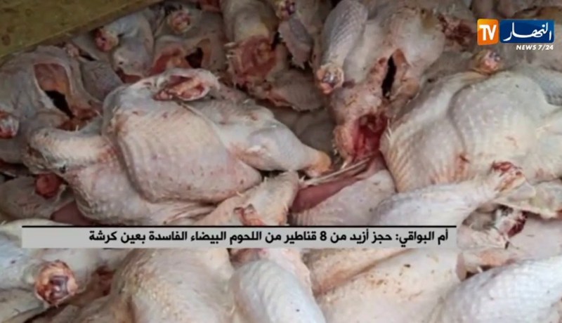 أم البواقي:  حجز أزيد من 8 قناطير من اللحوم البيضاء الفاسدة بعين كرشة
