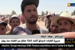 الجلفة:عشية عيد الأضحى المبارك ..أسعار الأضاحي ترتفع و السماسرة يفرضون منطقهم