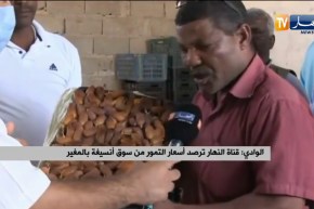فلاحو التمور بالوادي يناشدون وزير التجارة لفتح مجال التصدير كحل لهذه الأزمة