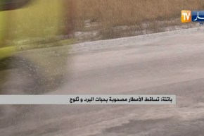 باتنة: تساقط الأمطار مصحوبة بحبات البرد وثلوج