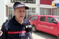 بجاية: الحرائق تتلف 280 هكتارا من المساحات الغابية منذ الفاتح جويلية
