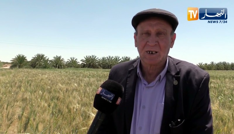 المغير: توسع المساحات الزراعية ومردودية عالية في إنتاج شعبة الحبوب