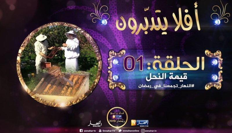 أفلا يتدبّرون / “النحل” وقيمة مايعطيه..مع فضيلة الشيخ محمد مكركب