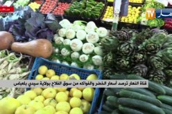 قناة النهار ترصد أسعار الخضر والفواكه من سوق الفلاح بولاية سيدي بلعباس