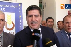 وزير الفلاحة: الفرصة ستعطى لكل الجزائريين اللذين لديهم حق في إستغلال الأراضي