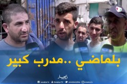 صريح جدا: جمال بلماضي مدربا للخضر ..بعيون الجزائريين
