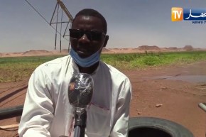 عين صالح: مستثمرات فلاحية ناجحة بفقارة الزوى ..  عندما يتحدى الشباب كل الصعاب