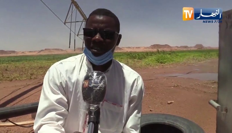 عين صالح: مستثمرات فلاحية ناجحة بفقارة الزوى ..  عندما يتحدى الشباب كل الصعاب