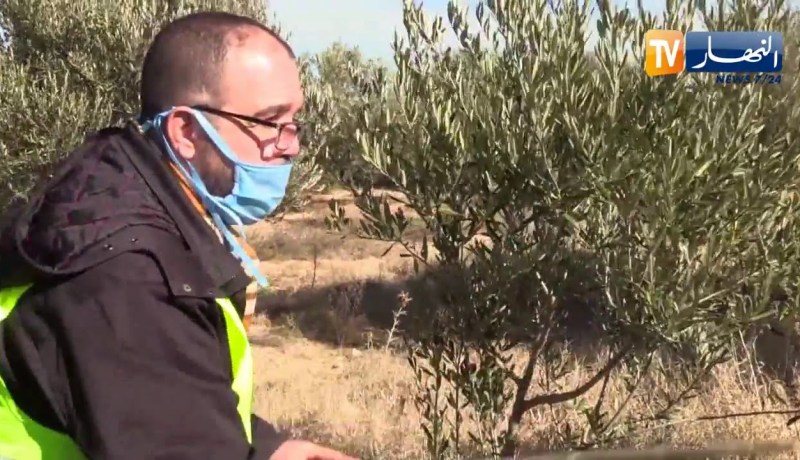 أم البواقي: مهندسون زراعيون يراهنون على عصرنة الفلاحة المستدامة