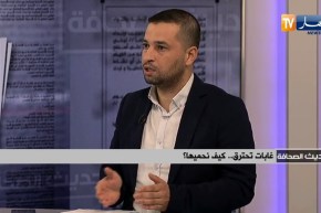 ضيف حديث الصحافة: غابات تحترق.. كيف نحميها ؟