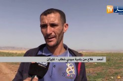 غليزان: خسائر كبيرة لمنتجي البطيخ الأصفر نتيجة الحرارة ورياح السيروكو