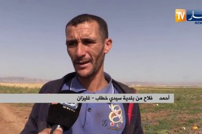 غليزان: خسائر كبيرة لمنتجي البطيخ الأصفر نتيجة الحرارة ورياح السيروكو