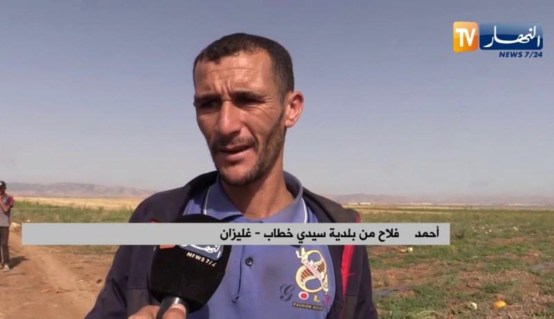 غليزان: خسائر كبيرة لمنتجي البطيخ الأصفر نتيجة الحرارة ورياح السيروكو