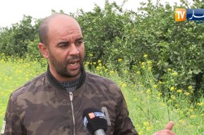 فلاحة: شبح تأخر الأمطار.. هاجس الفلاحين