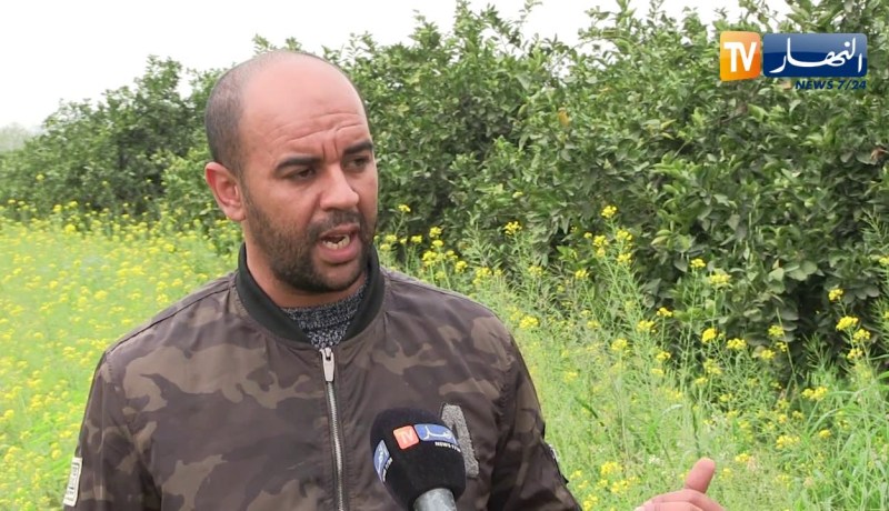 فلاحة: شبح تأخر الأمطار.. هاجس الفلاحين