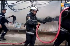 تسخير إمكانيات كبيرة لإخماد حريق ملبنة الطارف